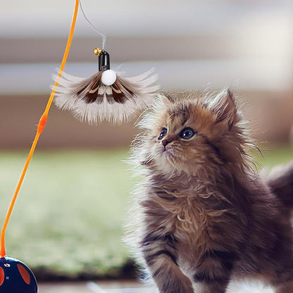 POPETPOP Cat Replacement Heads 6 Pcs Realistic Insect Teaser with Bell for Interactive Indoor Cat Toys