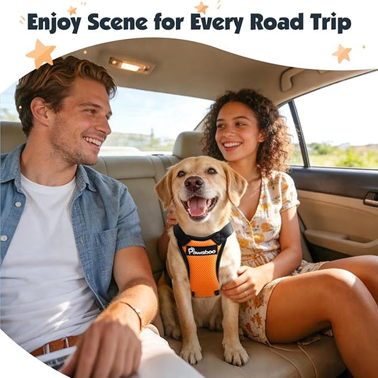 Pawaboo Dog Seat Belt Harness for Car, Dog Car Harness Seatbelt with Double Clips, Adjustable Breathable Pet Vest & Dogs Safety Tether with Elastic Bungee for Small Medium Large Pet, XL, Orange/Black