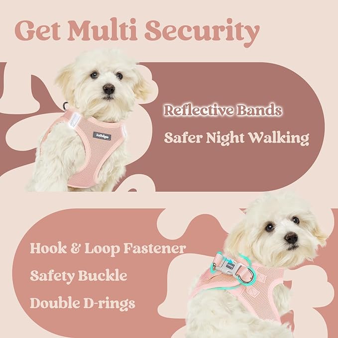 rabbitgoo Small Dog Harness, Step-in Soft Mesh Puppy Vest with Safety Buckle, Breathable Reflective Pet Harness for Small Sized Dogs, Pink XS