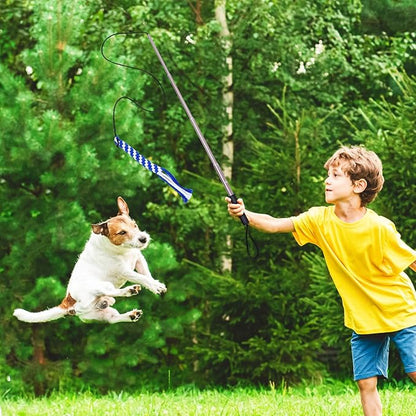 POPETPOP Flirt Pole for Dogs Interactive Dog Toys - Extendable Teaser Wand Outside Interactive Fun Toys with 2 Rope Chew Play Toys for Training Exercise (Size L)