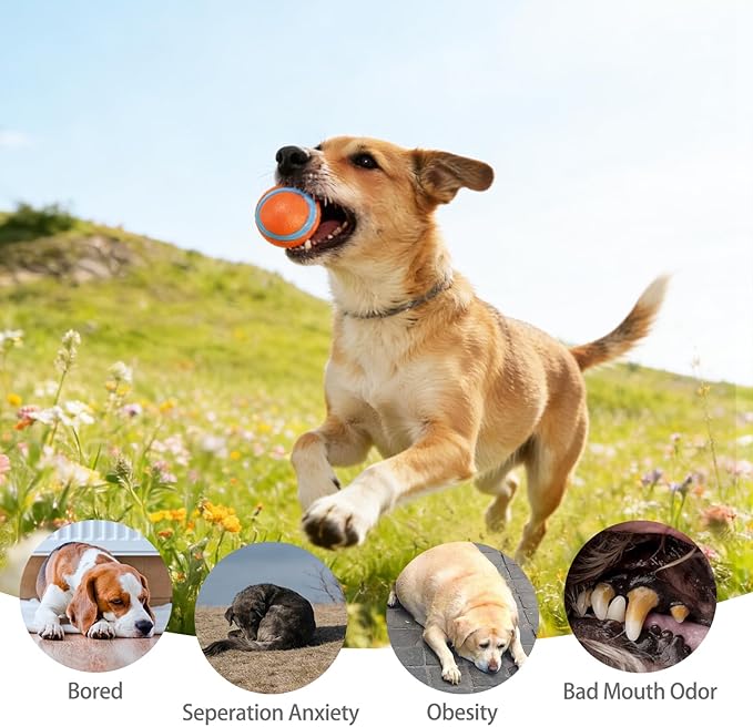 KOOLTAIL Floating Dog Toys,3 Pack TPR Water Pool Fetching Toy with Durable Rope for Small Medium Large Dogs,Bright Bumper Interactive Dog Chew Toys for Summer Outdoor Pool,Training&Teething