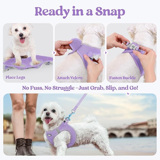 rabbitgoo Dog Harness Small Sized and Leash Set, Step in Soft Light Puppy Vest, Breathable Mesh Pet Harness, Reflective for Safe Easy Walking, Light Purple S