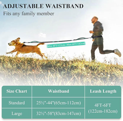 VIVAGLORY Hands Free Dog Leash Bungeeone Running Dog Leash with Waist Belt for Running Walking & Jogging, Bungee & Around Waist for Pet, S, Black/Turquoise