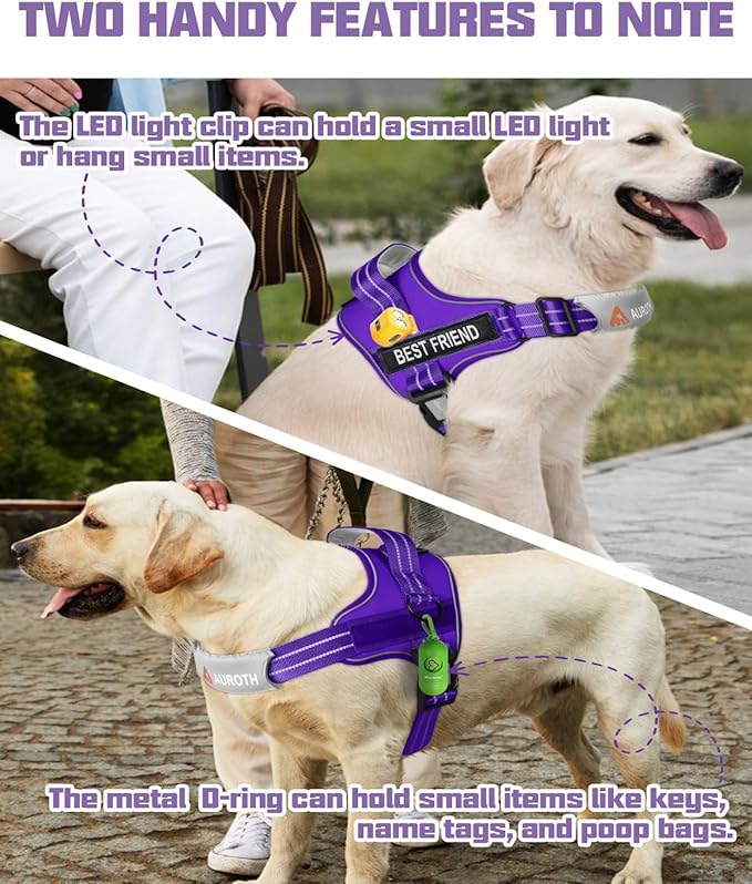 AUROTH Dog Harness and Leash Set, Soft Padded Service Dog Vest with 5.25FT Dog Leash, No Choke, Easy On Pet Vest, Adjustable Reflective No Pull Dog Harness for Large Dogs, Easy Walking and Training