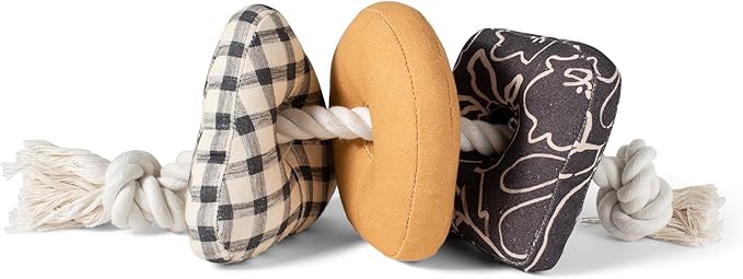 Fringe Studio Roped in 3D Canvas Dog Toy with Tuggable Rope, PetShop Collection (523044)
