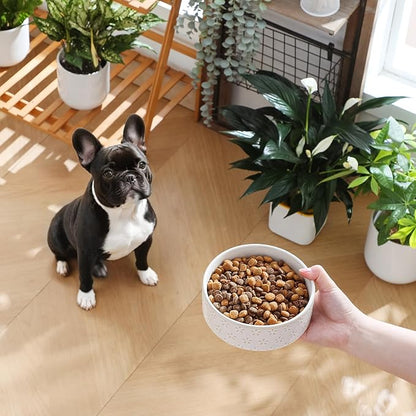 MALACASA Ceramic Dog Food Bowl, 1.5 Cups or 14oz Dog Food Water Dish for Small Breeds, Cats Pet Bowl Dishwasher & Microwave Safe, Five-Leaf Grass, Series Lydia