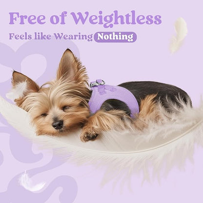 rabbitgoo Small Dog Harness, Step-in Soft Mesh Puppy Vest with Safety Buckle, Breathable Reflective Pet Harness for Large Dogs, Light Purple XXL