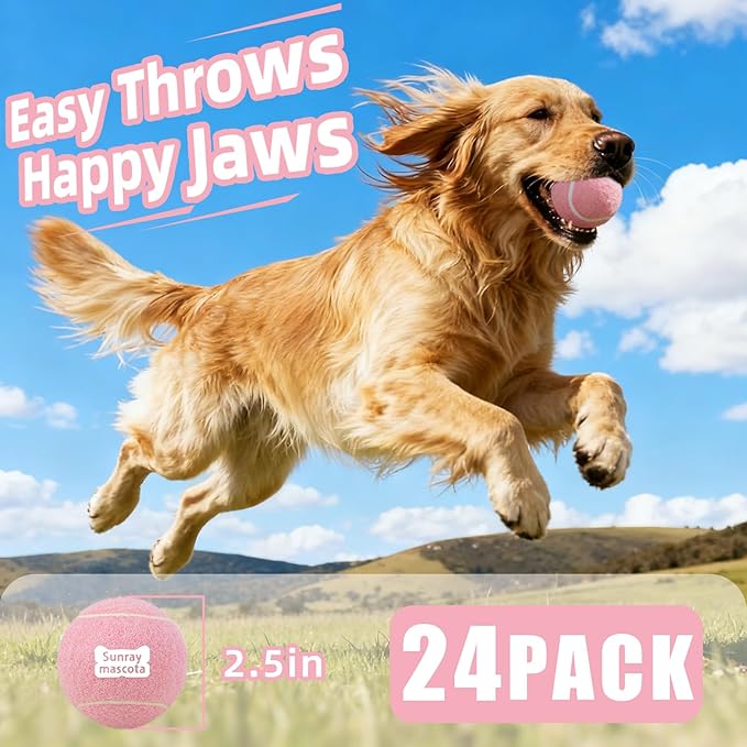 2.5" Dog Tennis Balls 24-Pack – Silent Bounce, Tough Rubber Core, Durable Fetch & Training Toys for Indoor/Outdoor Play, for Small Medium Large Dogs (Macaron Mixed Colors, 24-Pack)