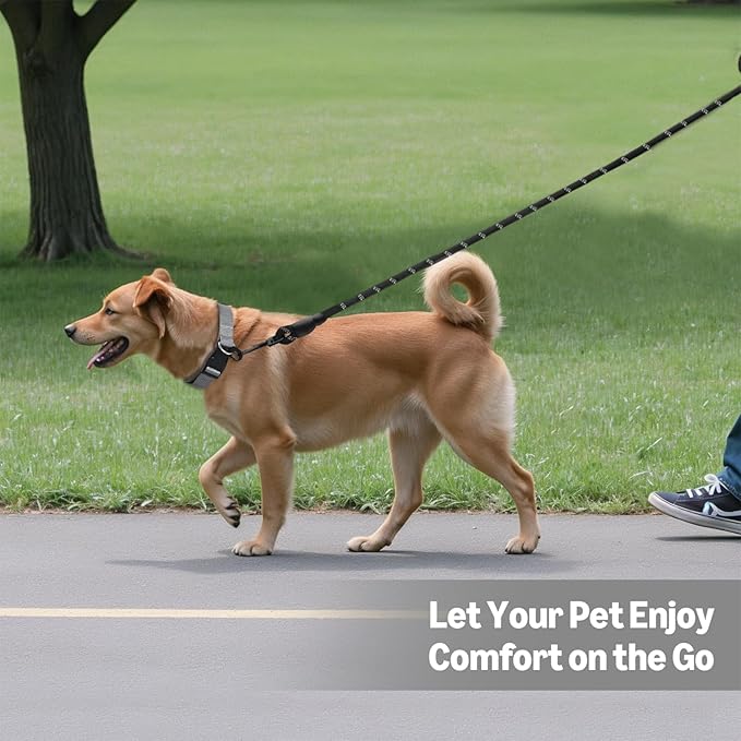 Amazon Basics Round Dog Leash, Heavy Duty, Durable Rope for Small, Medium, and Large Dogs, Lightweight Design for Walking, Training, and Outdoor Activities, Black, 6 Ft