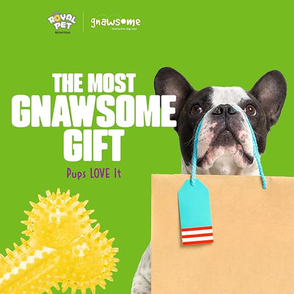Gnawsome Dog Toys - 6.5” Spiky Squeaker Bone - Medium - Dental & Gum Wellness - Stimulating Fun - Hidden Squeaker - Durable for Heavy Chewers - 100% BPA-Free - Assorted Colors