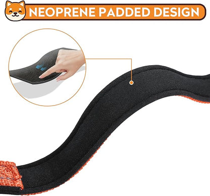 Reflective Dog Collar, Adjustable Soft Neoprene Padded Nylon Pet Collars with Buckle for Puppy and Small Dogs, Cats, Orange,XS