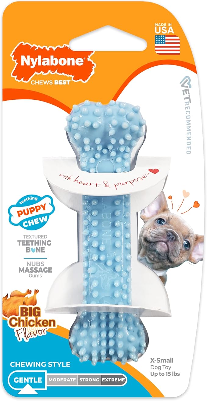 Nylabone Puppy Chew Blue Textured Teething Bone - Chewing Toys for Puppies - Puppy Supplies - Chicken Flavor, X-Small Dogs - Up to 15 Ibs, 1 Count