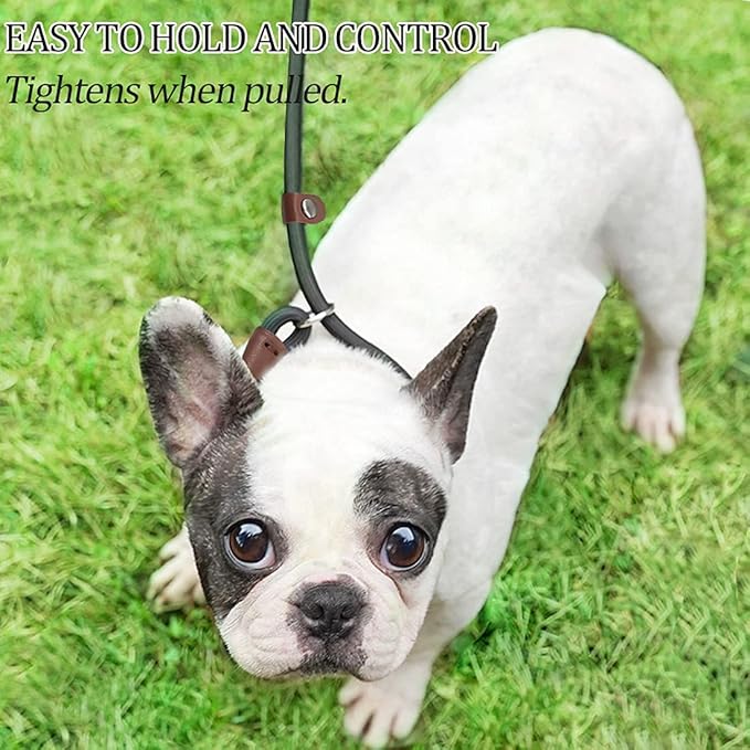 MayPaw Slip Lead Control Leash for Dogs No Pull, 13+ Colors Classic Dog Lead 7FT Pet Slip Leash, 1/4” Rope Leashes for Small Medium Animals Purple