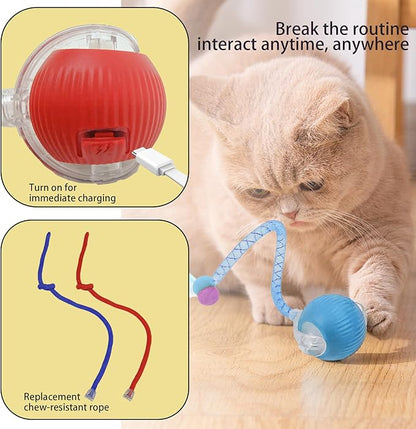 Interactive Cat Toy Ball - 2Pcs Speedy Cat Toys for Indoor Cats with Feather Tails for Chasing with 2Pcs Replaceable Tails ，Automatic Kitten Toys for Bored Indoor Adult Cats