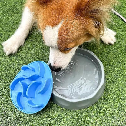 Oak & Tail Slow Feeder Dog Bowl with Removable Silicone Insert, 2-in-1 Pet Food Water Bowl, Anti-Gulping Design for Healthy Eating, Gray, Blue