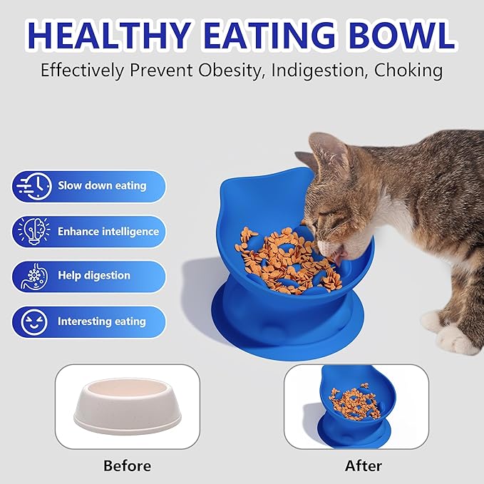 Slow Feed Cat Bowl, Elevated Cat Food Dish with Tilted Design, Dual-Use for Dry and Wet Food, Anti-Vomit, Anti-Choking, Easy to Clean