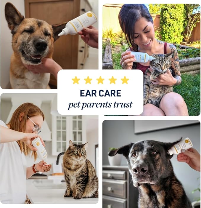 Veterinary Formula Clinical Care Ear Therapy Ear Cleaner for Dogs and Cats, Alcohol Free Pet Ear Cleaning Solution, 2 Pack 8 oz Bottles