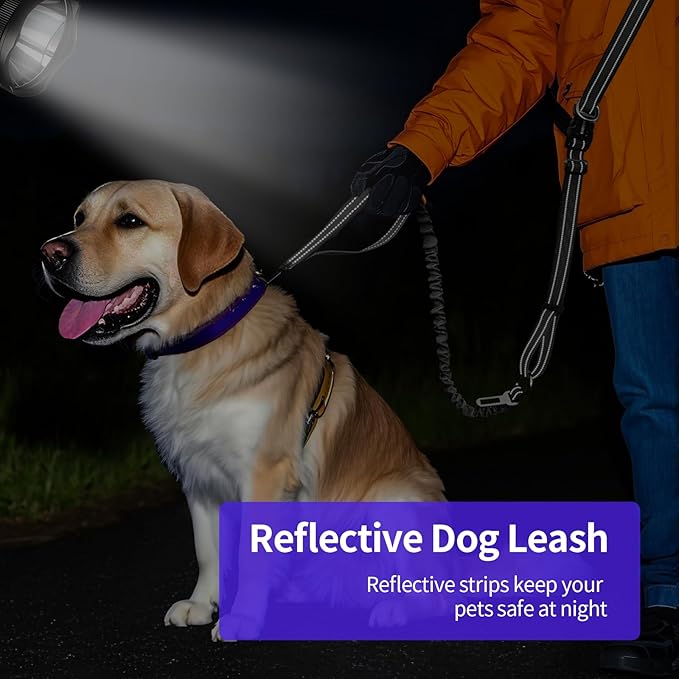 Kazazoo Hands-Free Dog Leash with 5.5-8.5FT Adjustable Length - Heavy Duty No Pull Bungee Design, Reflective Safety for Walking, Jogging & Training | Suitable for Medium to Large Dogs,Black M
