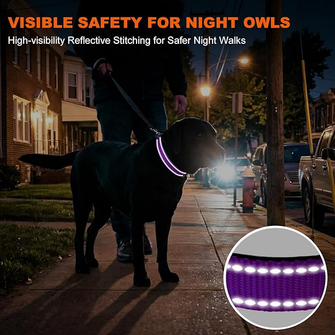 Taglory Reflective Dog Collar with Safety Locking Buckle, Soft Neoprene Padded Dog Collar for Large Dogs, Metal D-Ring, Adjustable Nylon Neck Strap for Daily Walking, Training & Running, Purple, L