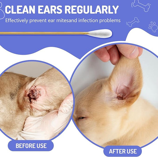 100PCS Large Cotton Swabs in Storage Box, 6 Inch Dog Ear Swabs with Bamboo Handle for Dogs - Soft Cotton, Gentle and Lint-Free, Specially Designed for Dogs, (Large)