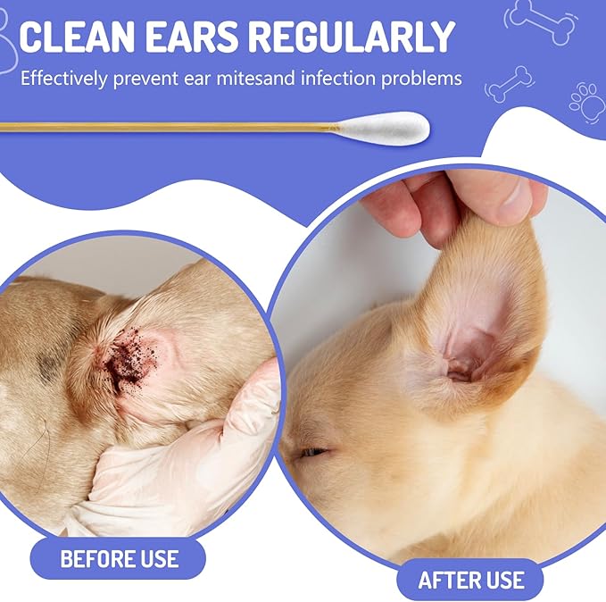 300PCS Large Cotton Swabs in Storage Box, 6 Inch Dog Ear Swabs with Bamboo Handle for Dogs - Soft Cotton, Gentle and Lint-Free, Specially Designed for Dogs, (Large)