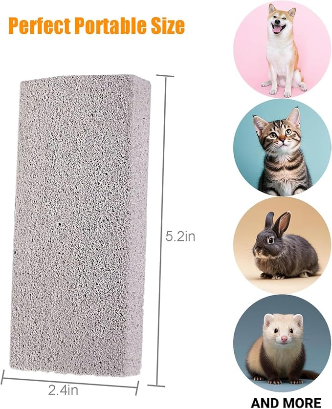 2Pcs Pet Hair Remover Pumice Stone for Cleaning Pet Hair Cat Fur Dog Hair Removal Tool for Car Interior Furniture Carpet Couch Bedding (Gray)