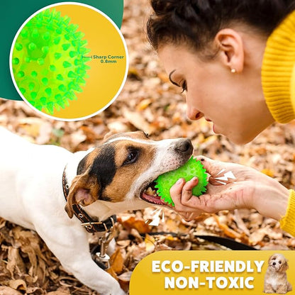 2 Different Functions Interactive Ball for Dogs 2.5” Squeaky Dog Balls Toys and Puppy Teething Chew Toy Balls for Small Dogs for Clean Teeth and Training （5Pcs）