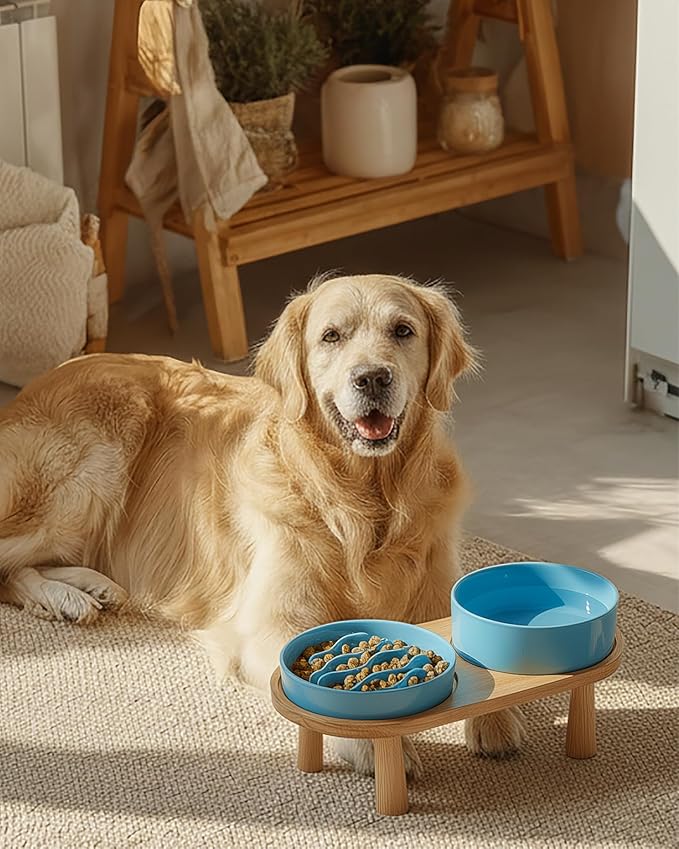 Ceramic Slow Feeder and Water Bowl Set for Medium and Large Dogs, 2.0 Cups Dog Slow Feeder(30oz) and 70oz Water Bowl Set, 8in, Baby Blue