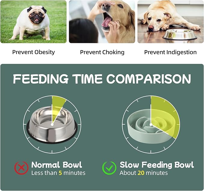 Ceramic 0.9 Cup Raised Dog Slow Feeder Set, Elevated Bowl with Wooden Stand for Small Dog and Cat, 6.1inch Puzzle Slow Dog Food Dish, Anti-Gulping(Light Green, Single Bowl+ Stand)