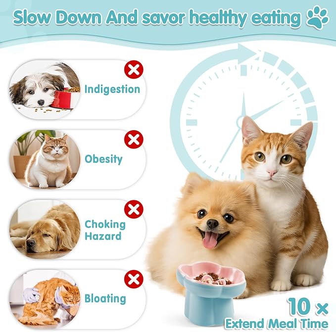 Cat Slow Feeder Bowl Set - 1 Pcs Pastel Series Cat Plate for Dry and Wet Food - Cute Maze Feeder Dish for Healthy Eating- Slow Feeding Bowls Whisker Friendly - Dishwasher Safe(Blue)
