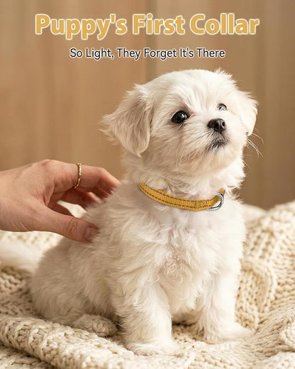Joytale Puppy Collar, Feather-Light Double-Sided Reflective Nylon Collar for Night Safety, Adjustable Quick-Release for Extra Small Dogs, Khaki, XS (3/8" Width)