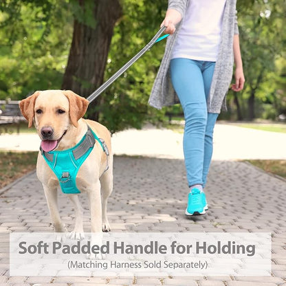 PHOEPET 5 Feet Dog Leash - Dual-Side Reflective - Soft Padded Handle - Fit for Walking, Training or Exploring Hiking, Camping (Grey + Mint Green Base)