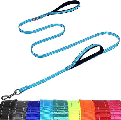 VIVAGLORY Dog Leash Twingrip Double Handle Dog Leash with Traffic Handle Control & 2 Loop for Walking & Training, Reflective Heavy Duty for Puppy Pet Collar, 4ft x 1/2in, Lake Blue