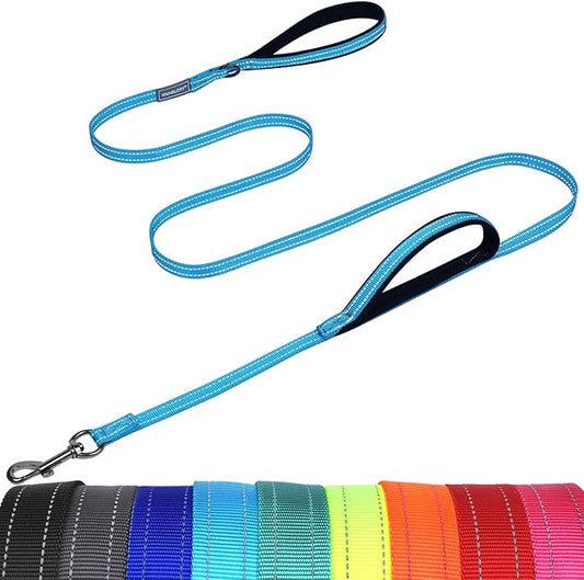 VIVAGLORY Dog Leash Twingrip Double Handle Dog Leash with Traffic Handle Control & 2 Loop for Walking & Training, Reflective Heavy Duty for Puppy Pet Collar, 4ft x 1/2in, Lake Blue
