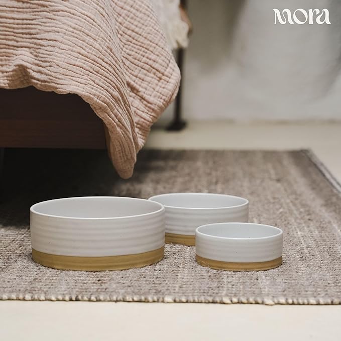 Mora Ceramic Pet Bowl Size Small - Food/Water Dish for Puppy Dogs, Cats, Guinea Pig, Rabbit, Hamster, Snake, ect. 11oz or 2 Cups - Basic Bowls for Your Dog or Cat, Mix and Match for a Set - Oat