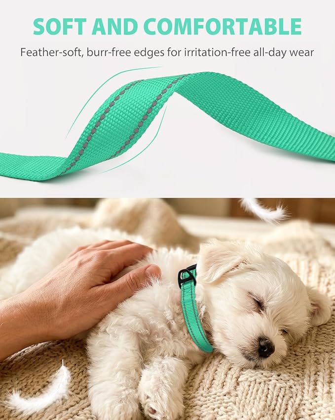Joytale Dog Collars for Small Dogs, Feather-Light Double-Sided Reflective Nylon Collar for Night Safety, Adjustable Quick-Release for Growing Puppies, Teal, S (5/8" Width)