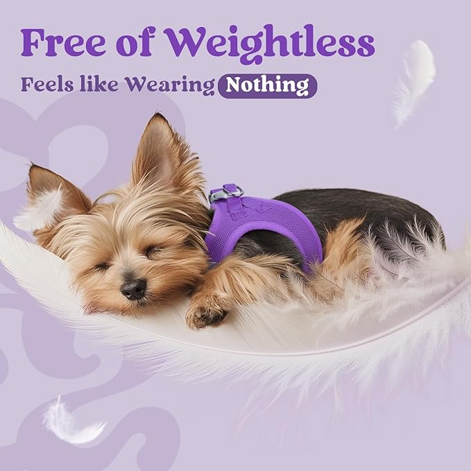 rabbitgoo Small Dog Harness, Step-in Soft Mesh Puppy Vest with Safety Buckle, Breathable Reflective Pet Harness for Small Medium Dogs, Purple XL