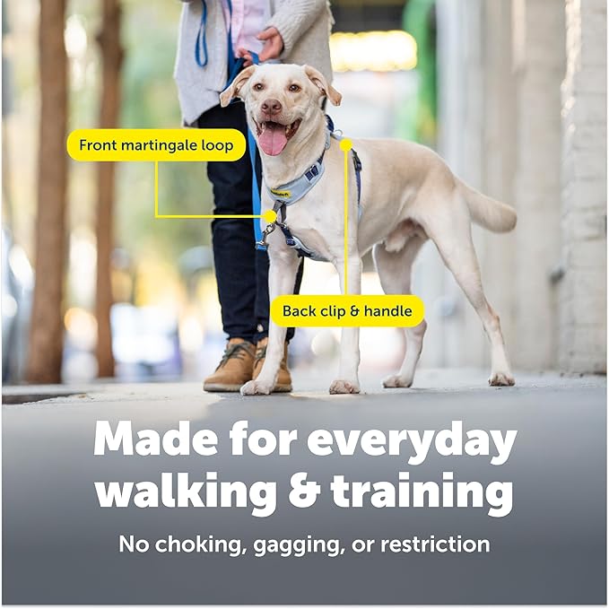 PetSafe Easy Walk Comfort No-Pull Dog Harness - Better Walk Training Harness - Full Body Padded Design - Durable Fabric - 5 Point Adjustable Fit - Everyday Leash Training - Pink - X-Small