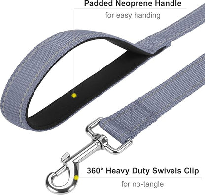 Reflective Dog Leash 4ft Soft Padded Handle Nylon Lead for Small & Medium Dogs, Durable Walking Training Leash for Night Safety (Gray,3/4Inch Wide)