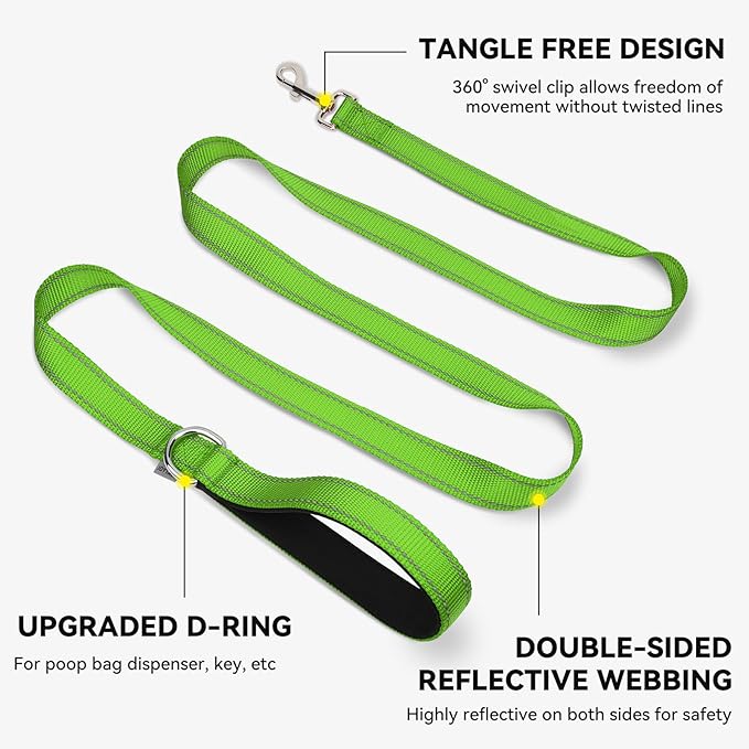 Joytale Dog Leash, 5 FT Double-Sided Reflective, Padded Handle Nylon Heavy Duty Leashes for Small Dogs Walking, Green