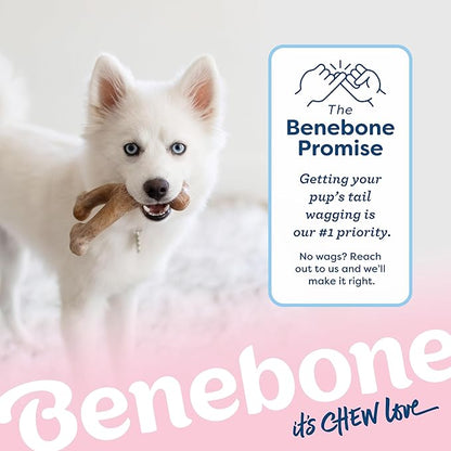 Benebone Puppy Wishbone Durable Dog Chew Toy for Gentle Chewers, Real Bacon, Made in USA, Medium (Pack of 2)