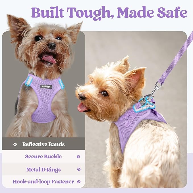 rabbitgoo Dog Harness Small Sized and Leash Set, Step in Soft Light Puppy Vest, Breathable Mesh Pet Harness, Reflective for Safe Easy Walking, Light Purple XXXS
