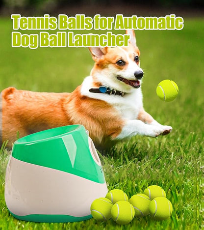 10 Pack Small Tennis Balls for Dogs, Easy Catching Pet Balls for Exercise and Fetch, 2-inch Dog Tennis Ball, Interactive Toys
