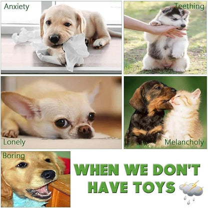 Dog Chew Toys for Small to Medium Dogs - 10 Pack Tough Dog Toys, Interactive Rope Teething Toy for Puppy, Durable Tug of War Toy, Birthday and Festival Gift Set