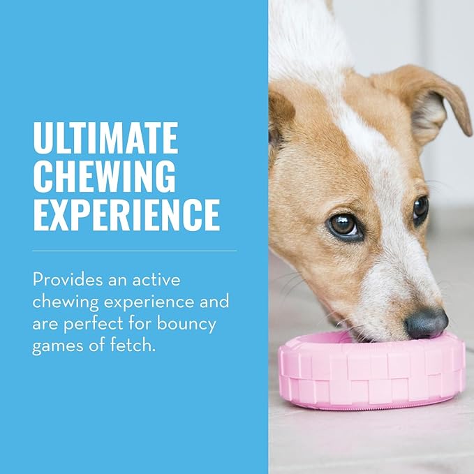 KONG Puppy Tires - Dog Chew Toy for Puppies - Stuffable Dog Toy for Treats & Snacks - Natural Rubber Chew Toy for Teething Puppy - for Small Puppies - Randomly Provided Color
