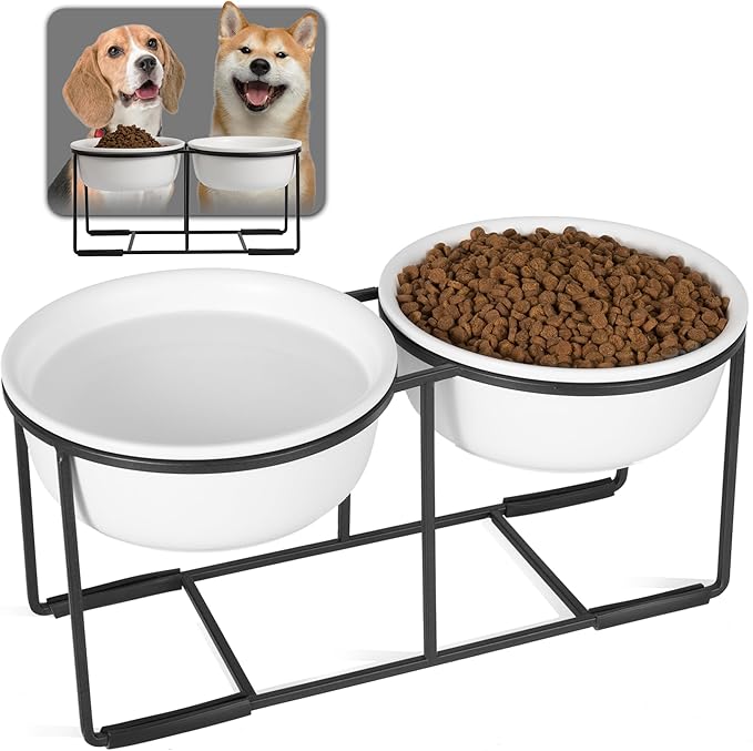 Ceramic Elevated Dog Bowl Set - Raised Food and Water Bowls with Metal Stand - Double Pet Dishes for Small and Medium Dogs - 2 Cups - 27 fl oz - Matte Whit