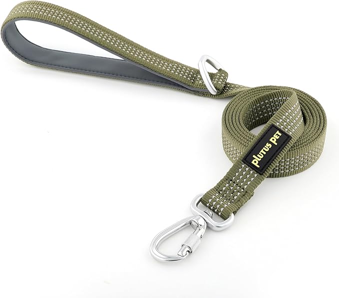 Plutus Pet Heavy Duty Dog Leash with Lockable Aluminum Carabiner, 4/6 Feet Long, Double-Sided Reflective Nylon, Padded Handle, for Puppy, Small, Medium and Large Dogs (Ranger Green, 4/5" x 4')