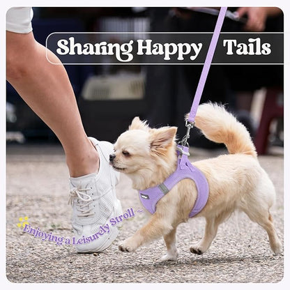 rabbitgoo Dog Harness Small Sized and Leash Set, Step in Soft Light Puppy Vest, Breathable Mesh Pet Harness, Reflective for Safe Easy Walking, Light Purple M