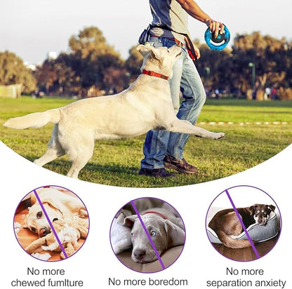 Tough Dog Toys for Aggressive Chewers, Indestructible Dog Toy for Large Dogs, Nylon Chew Toys for Medium Large Breed, Interactive Dog Toys to Keep Them Busy, Dog Birthday