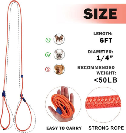 Slip Leads for Dogs Puppy Leash Comfortable 6 FT Heavy Duty Loop Leash No Pull Pet Training Leash 6 Colors Classic Dog Leash for Small Medium Dogs Orange